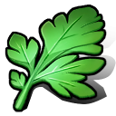 灵草.png