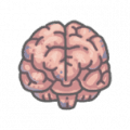 玻尔兹曼大脑.png