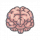 玻尔兹曼大脑.png