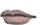 Mouth kingdom4 004 m.png