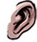 Ear kingdom5 701 f.png