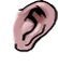 Ear black 700u f.png