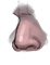 Nose citizen6 003 f.png