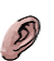 Ear citizen5 008u m.png