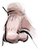 Nose kingdom5 002 m.png