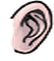 Ear kingdom2 001u f.png