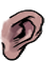 Ear eastern 001u m.png