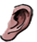 Ear kingdom1 702 m.png