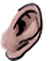 Ear citizen5 004u m.png