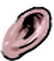 Ear citizen5 007u f.png