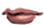 Mouth highDrow 008 f.png