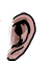 Ear citizen5 900u m.png