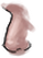 Nose eastern 001 m.png