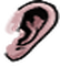 Ear citizen2 002u f.png