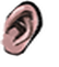 Ear kingdom4 016u f.png