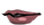 Mouth highDrow 003 f.png