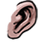 Ear kingdom2 004u f.png