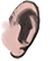 Ear kingdom5 003u m.png