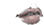 Mouth kingdom6 009 m.png