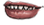 Mouth pirate 005 f.png