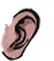 Ear citizen5 006u m.png