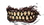 Mouth pirate 701 m.png