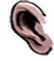 Ear kingdom6 003u m.png