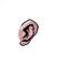 Ear kingdom2 700u f.png