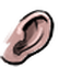 Ear citizen5 012u m.png