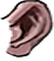 Ear kingdom4 705u m.png