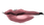 Mouth highDrow 005 f.png