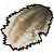 Item icon shangdengmaopi.png