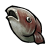 Item icon yu.png