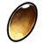 Item icon dianjinshi.png