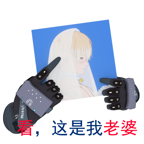 EmojiContest 看，这是我老婆 手席单推人.png