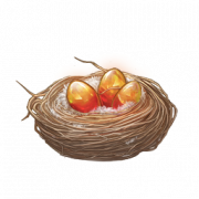 道具 “巢”.png
