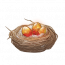道具 “巢”.png