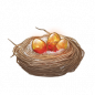 道具 “巢”.png