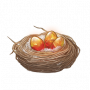 道具 “巢”.png