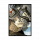 意识 克涅诺娃 2.png