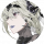 玩家头像 深痕.png