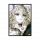 意识 布尔加科夫 3.png