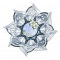 武器 苍染之莲.png