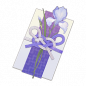 道具 鸢尾信笺.png
