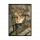 意识 帕夫利琴科.png