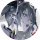 玩家头像 罪妄月华.png