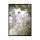 意识 布尔加科夫 2.png