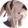 玩家头像 真理.png