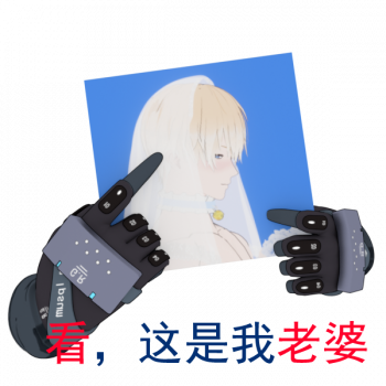 EmojiContest 看，这是我老婆 手席单推人.png