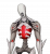 NPC 怪物类人.png